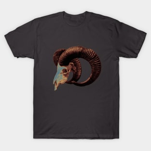 Ram Skull T-Shirt